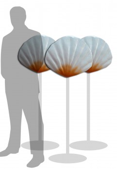 Large Sea Shell