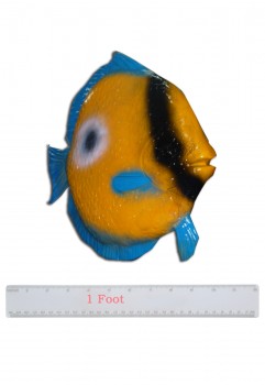 Marine Fish Blue