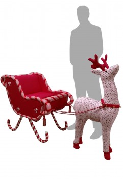 Kiddie Snow Sledge Set