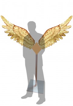 Angel's Wing