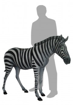 Foal 