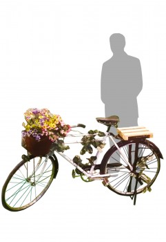 Garden Bicycle
