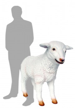 Lamb 