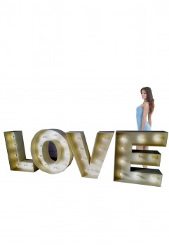 LOVE Light Box
