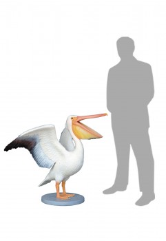 Pelican 