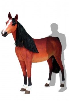 Red Brown Horse 