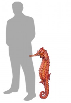 Sea Horse Small