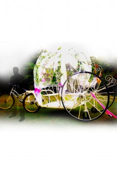 Wedding Carriage