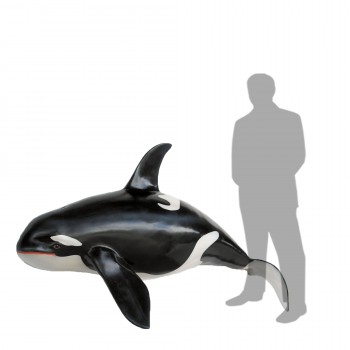 Orca 
