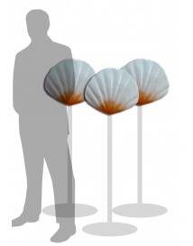 Medium Sea Shell