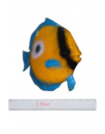 Marine Fish Blue
