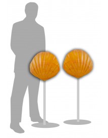 Sea Shell Orange