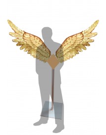 Angel's Wing