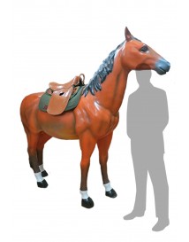Brown Horse