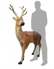 Brown Reindeer