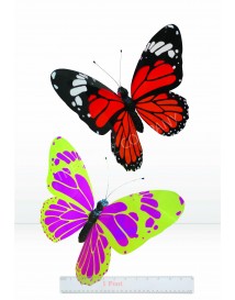 Small Butterfly