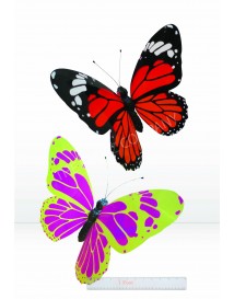 Large Butterfly