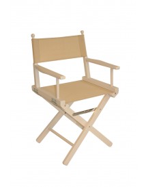 Director Chair