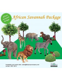 African Savannah Package