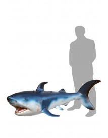 Blue Shark