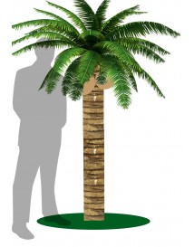 Coconut Tree Short
