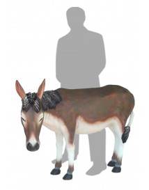 Donkey