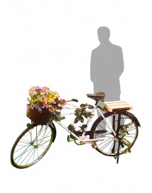 Garden Bicycle