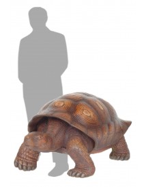 Giant Tortoise