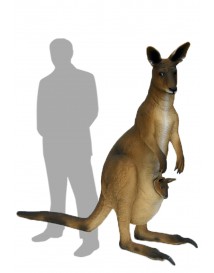 Kangaroo