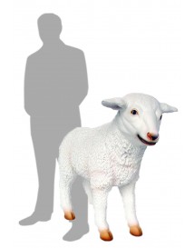 Lamb 