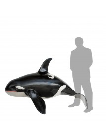 Orca 