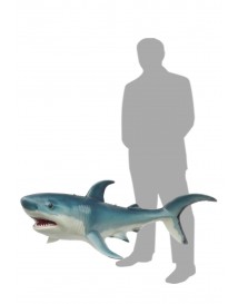 Pale Blue Shark