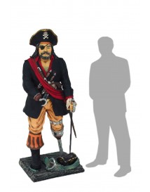 Pirate Captain