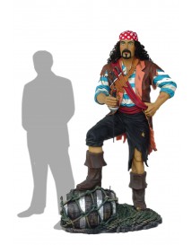Pirate First Mate