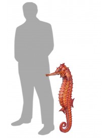 Sea Horse Small