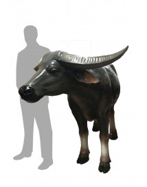 Water Buffalo