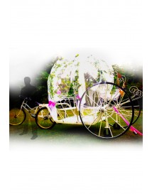 Wedding Carriage
