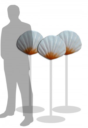 Medium Sea Shell