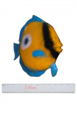 Marine Fish Blue