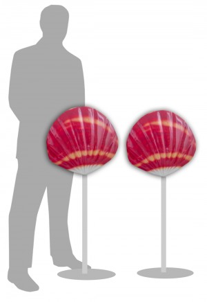 Sea Shell Red