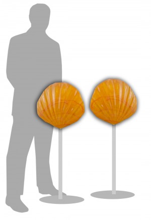 Sea Shell Orange