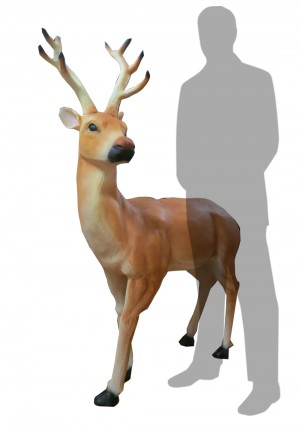 Brown Reindeer