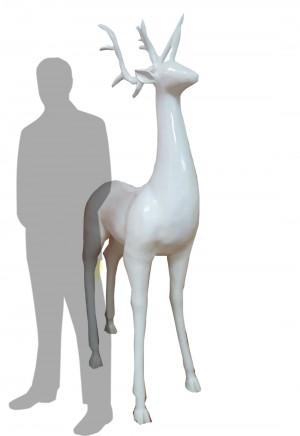 White Reindeer
