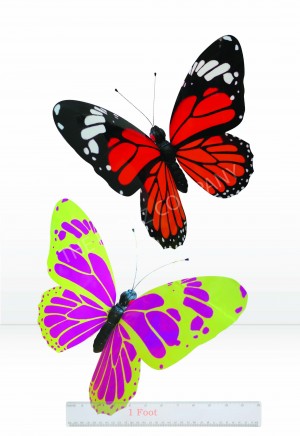 Small Butterfly