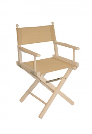 Director Chair