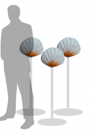 Small Sea Shell