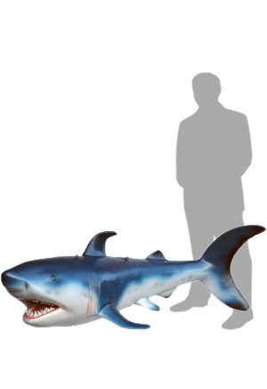 Blue Shark