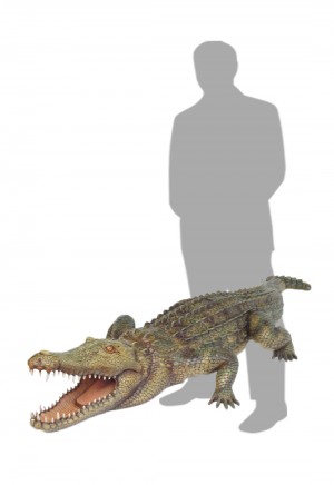 Crocodile