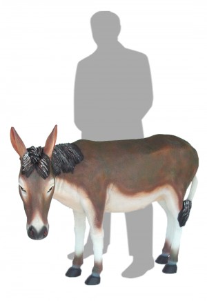 Donkey