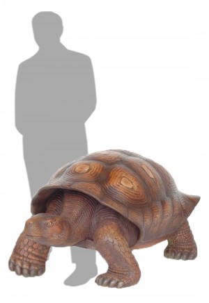 Giant Tortoise
